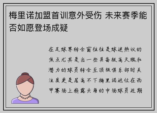 梅里诺加盟首训意外受伤 未来赛季能否如愿登场成疑